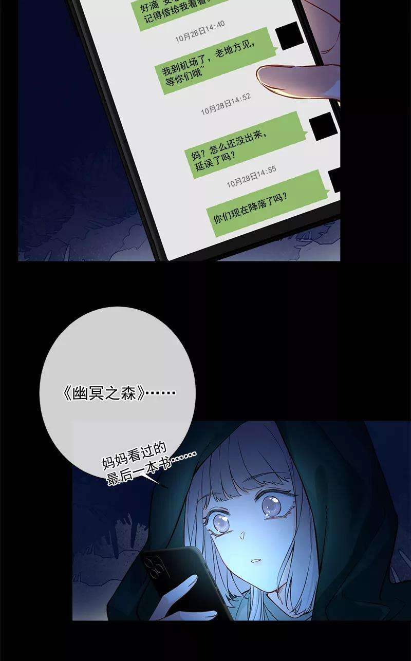 41.jpg