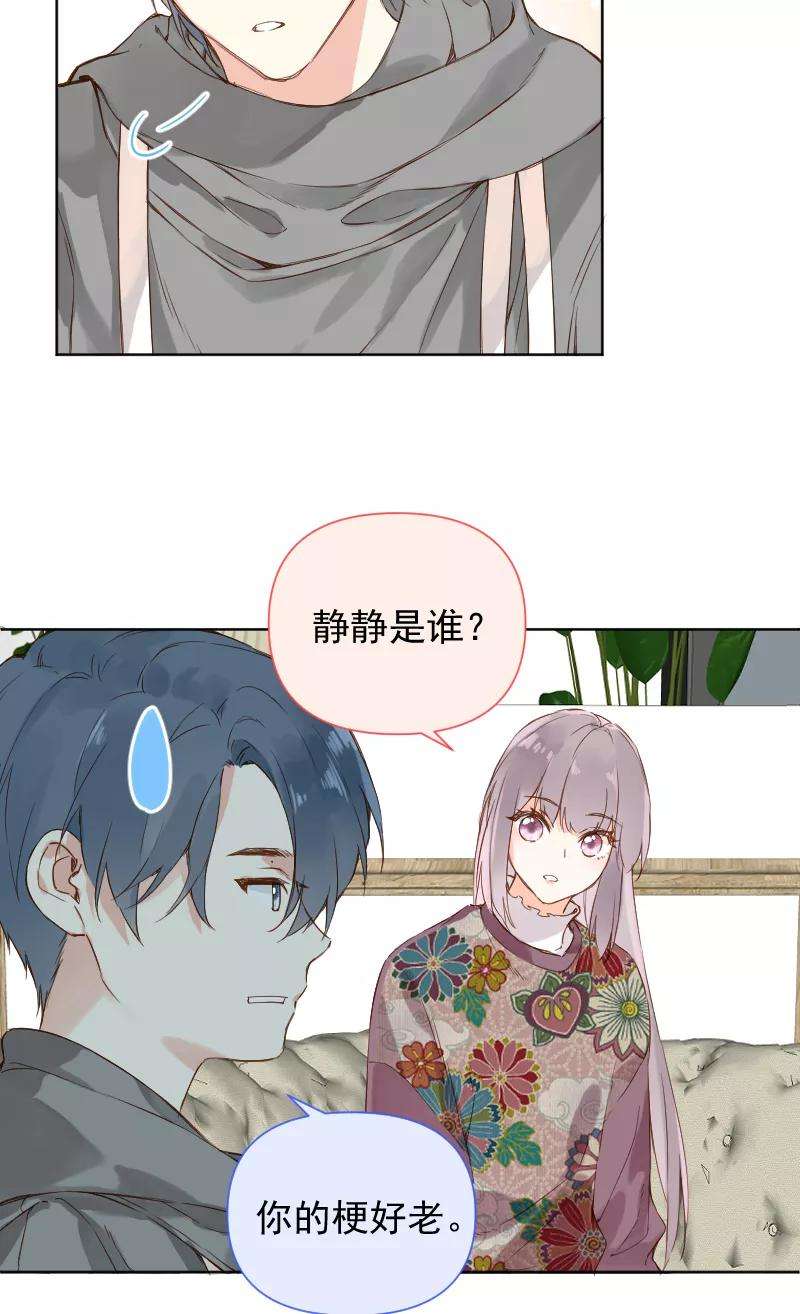 41.jpg