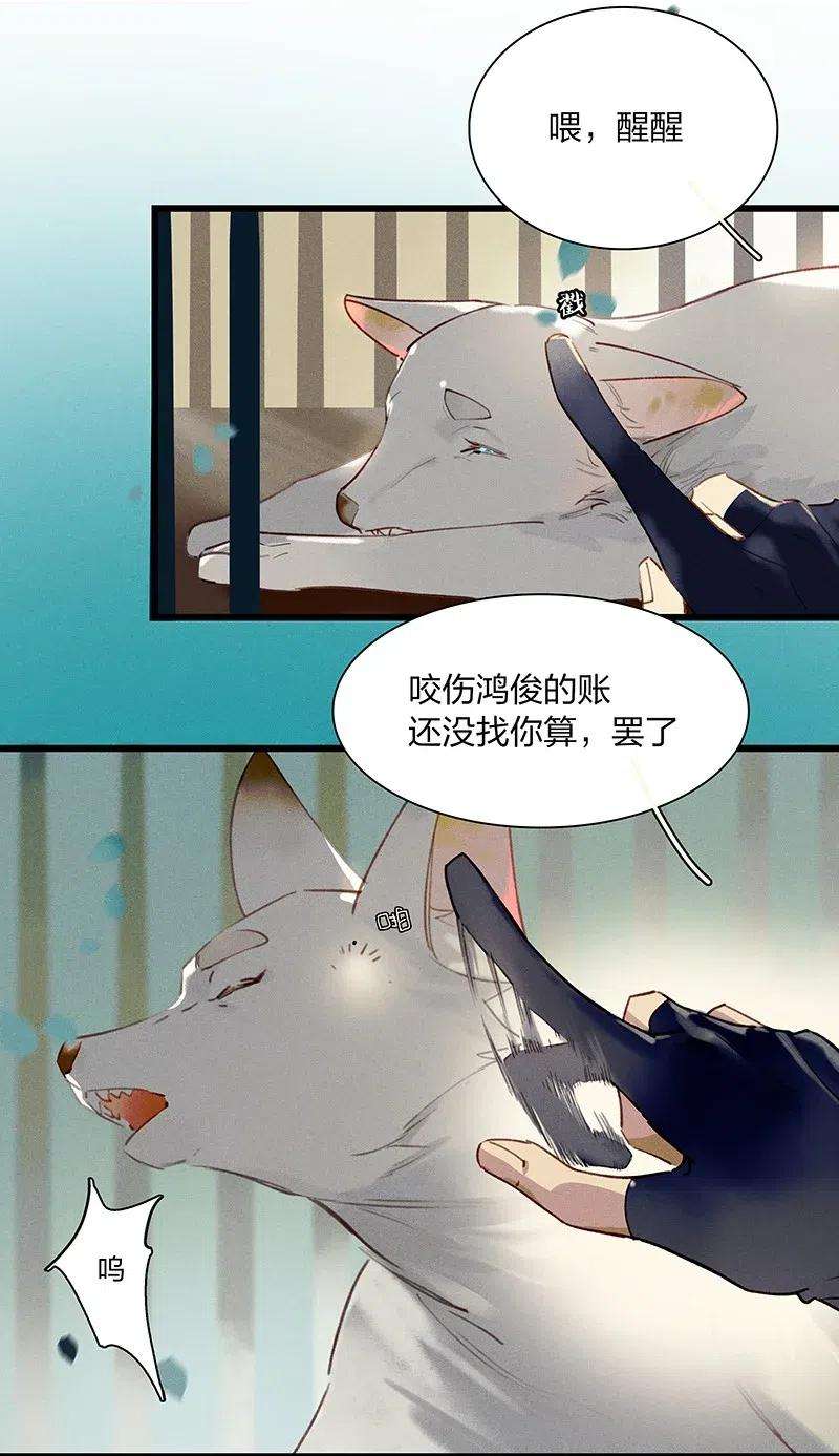 17.jpg