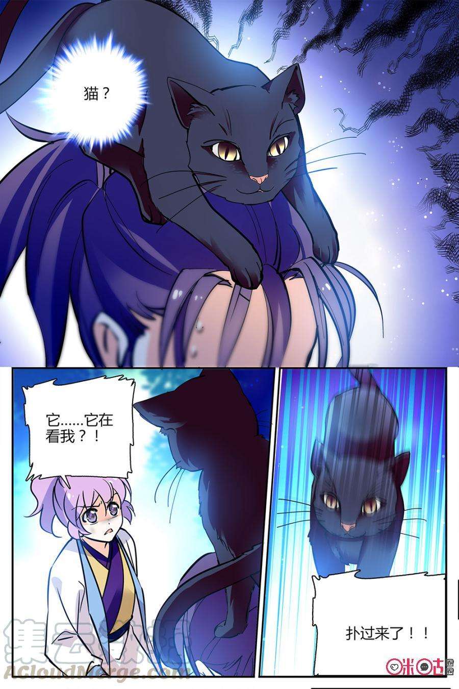 5.jpg
