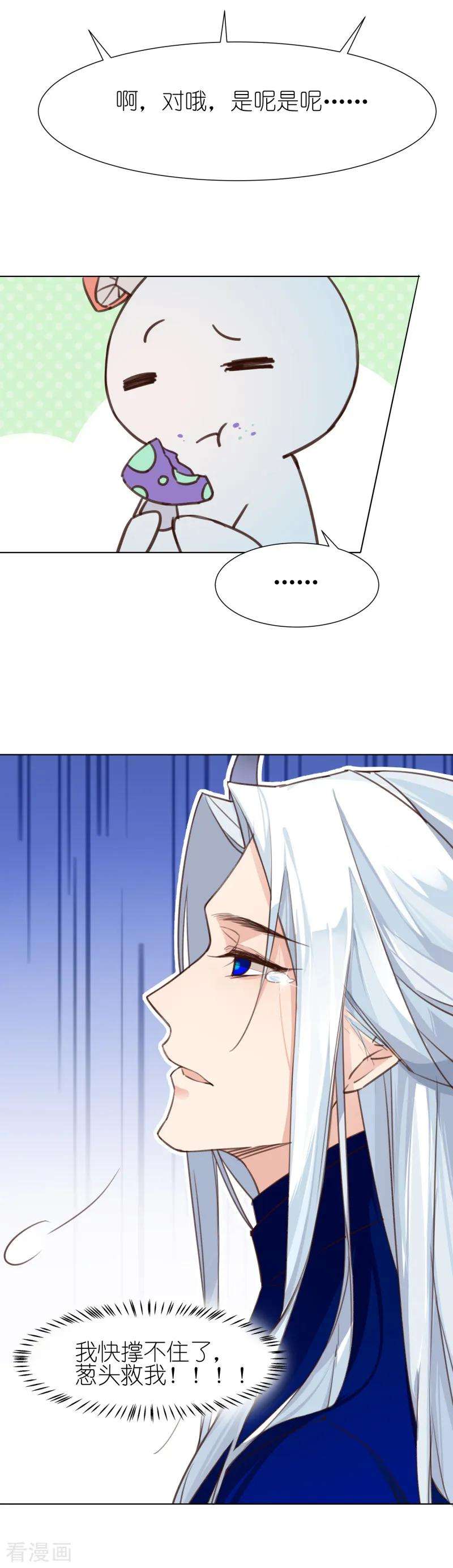 14.jpg