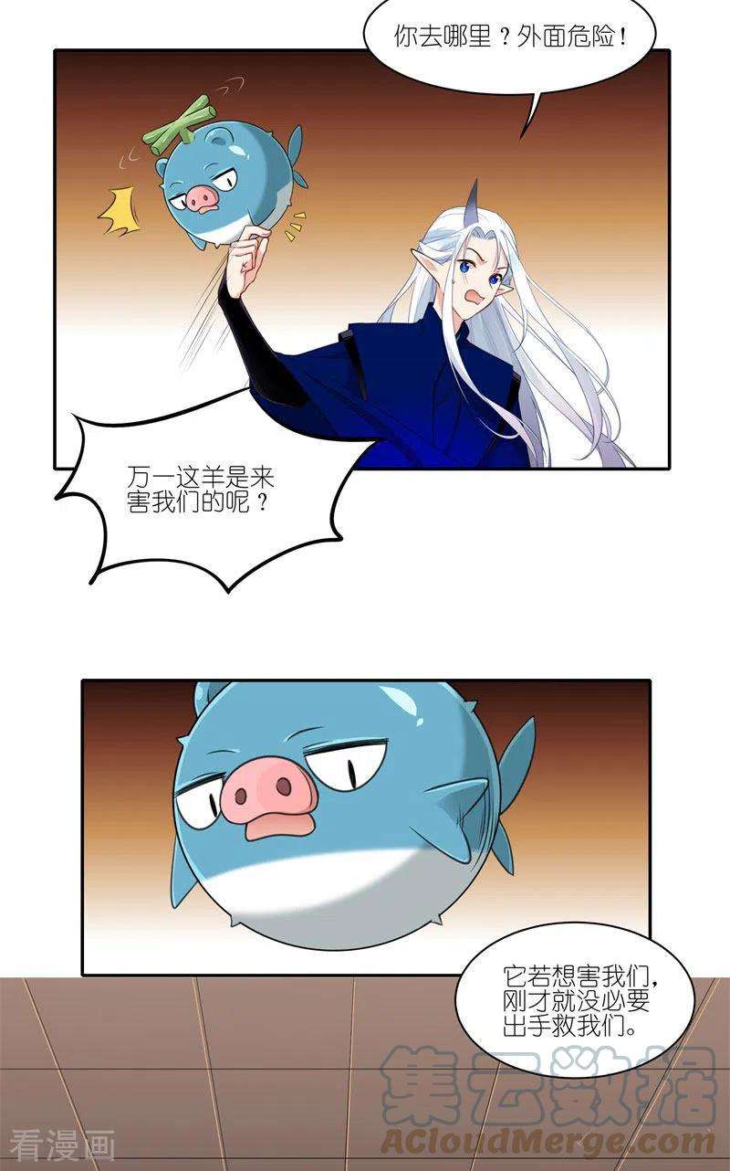 25.jpg