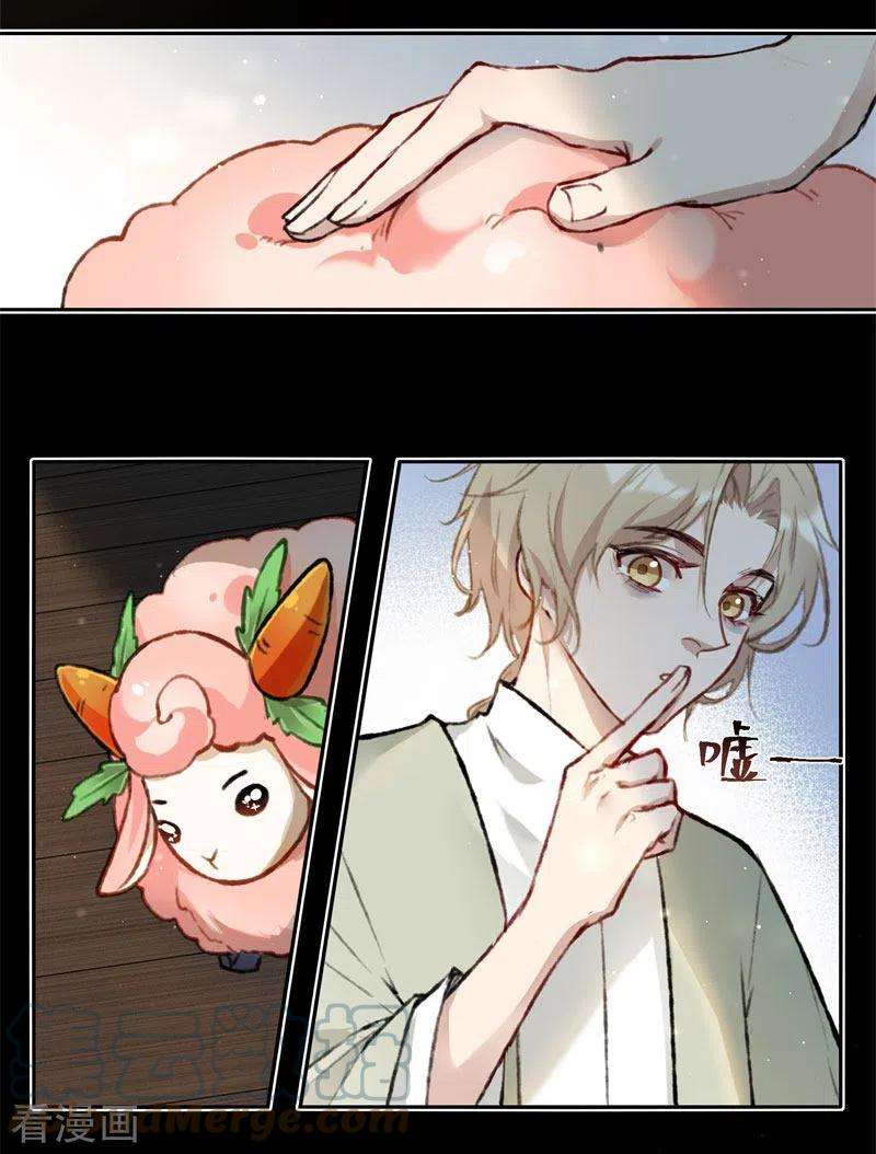 11.jpg