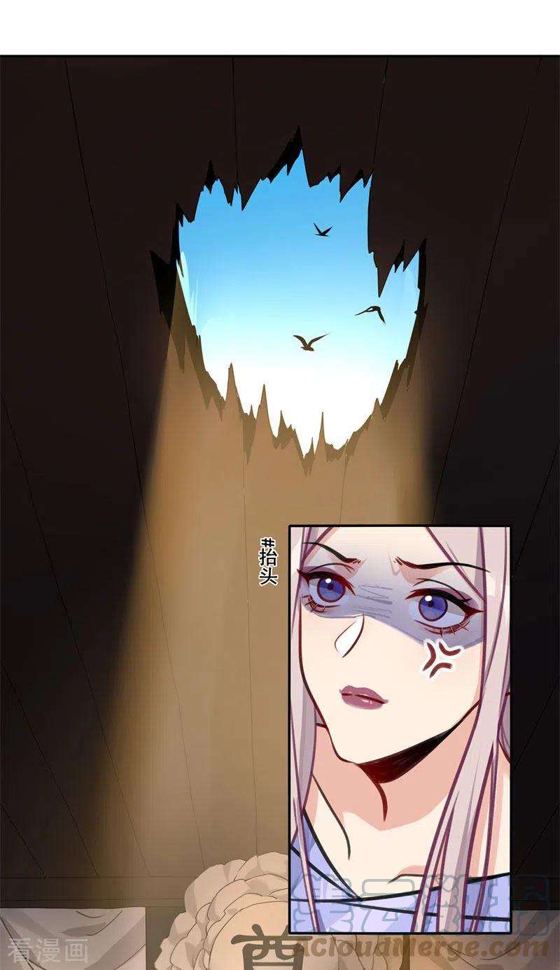 31.jpg