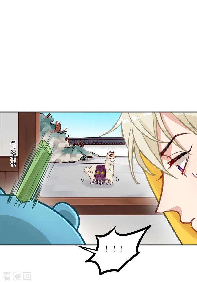 22.jpg