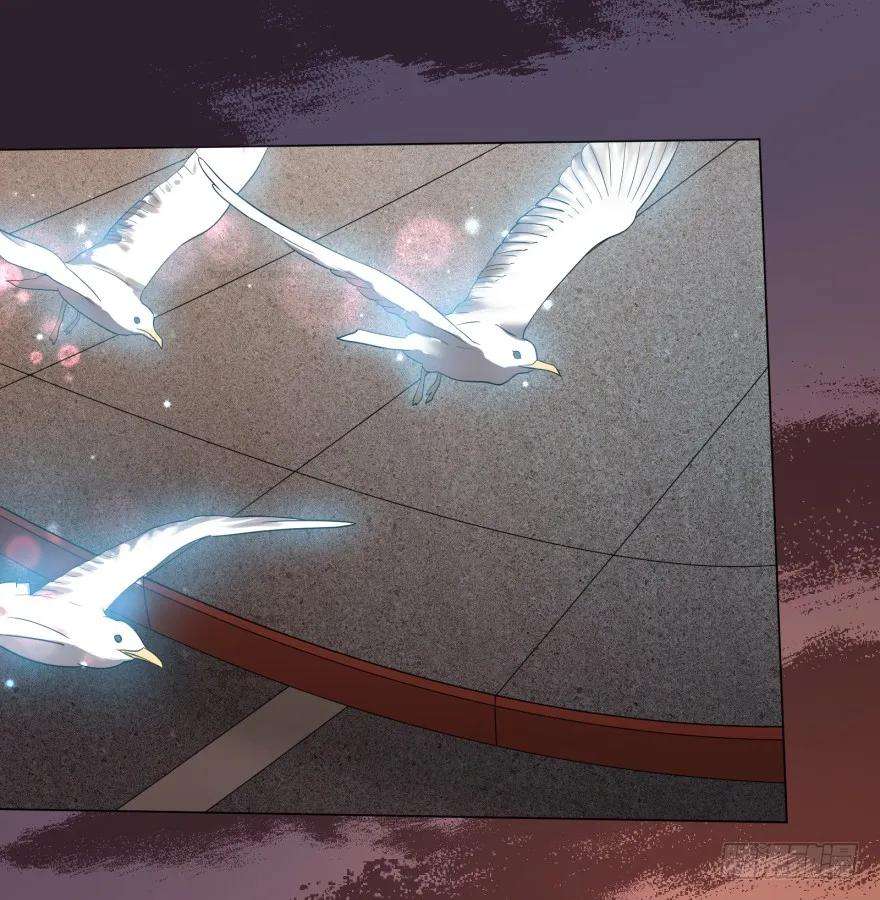 55.jpg