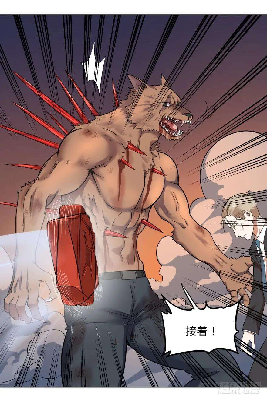 31.jpg