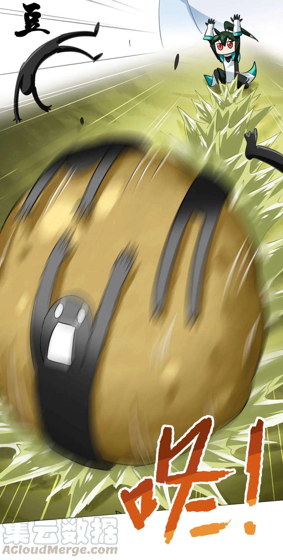 25.jpg