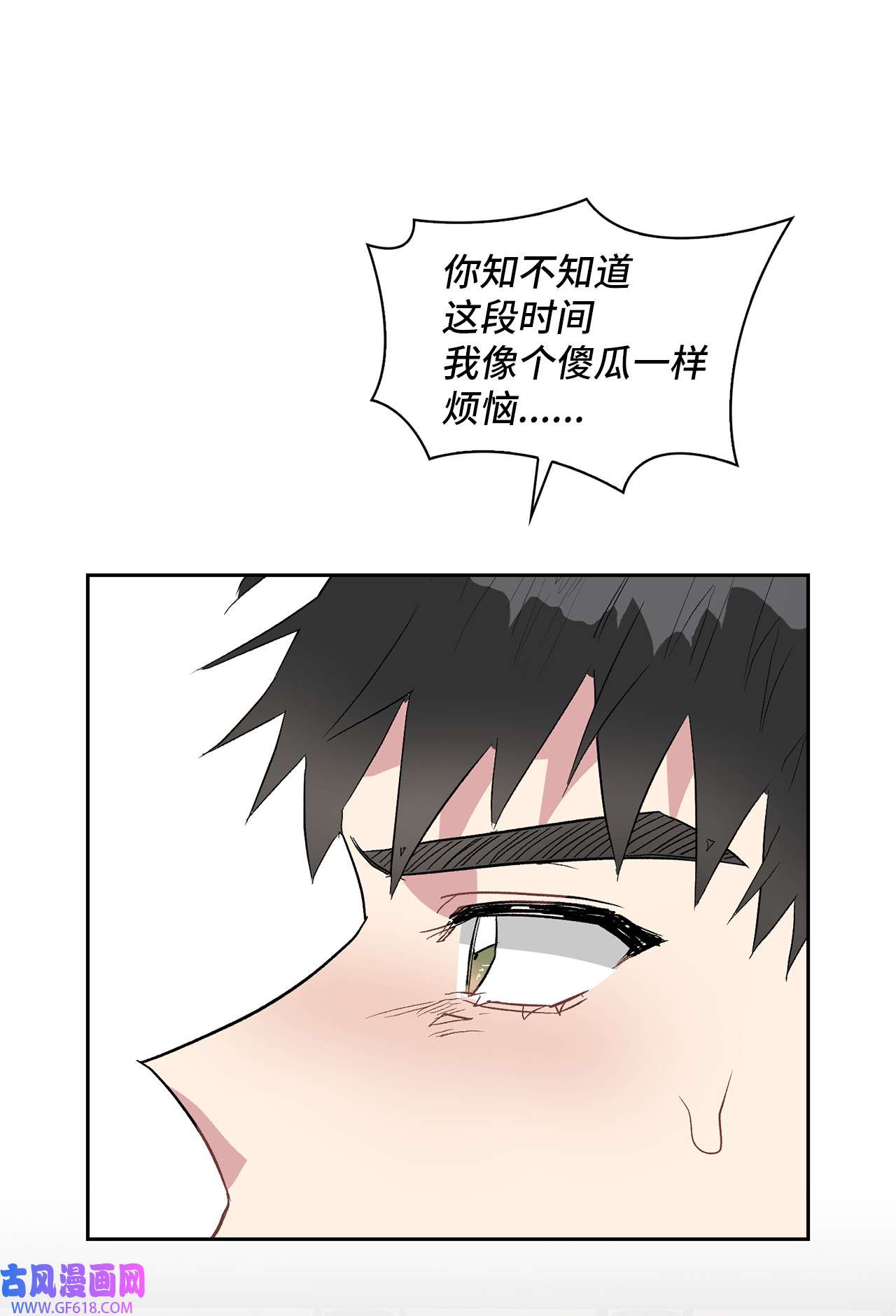 53.jpg