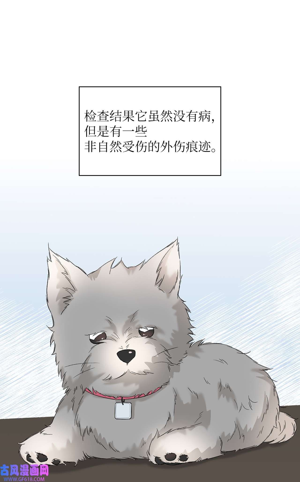 60.jpg