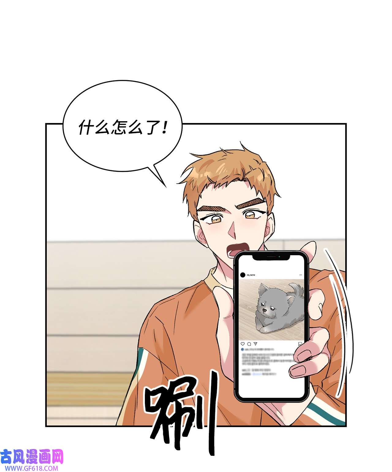 33.jpg