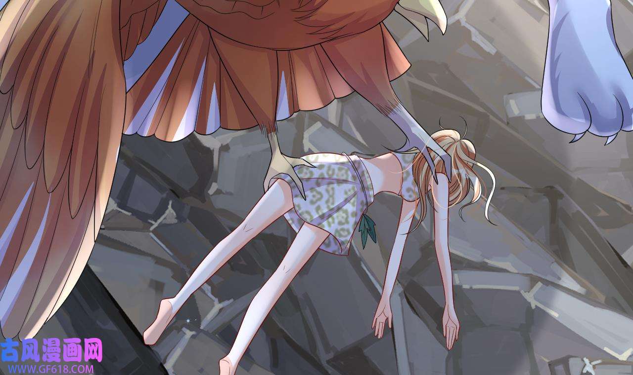 63.jpg