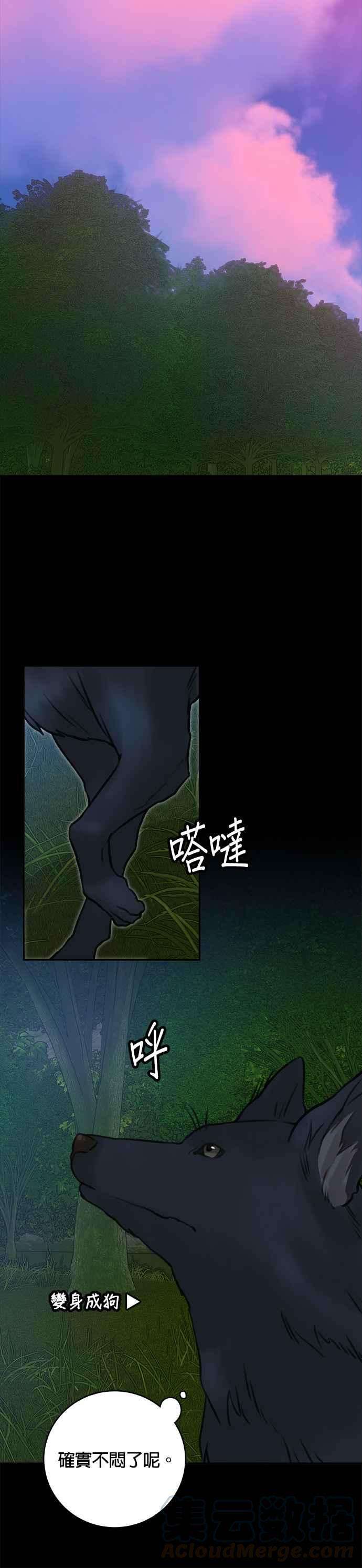 27.jpg