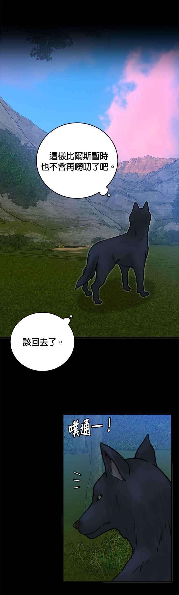 28.jpg
