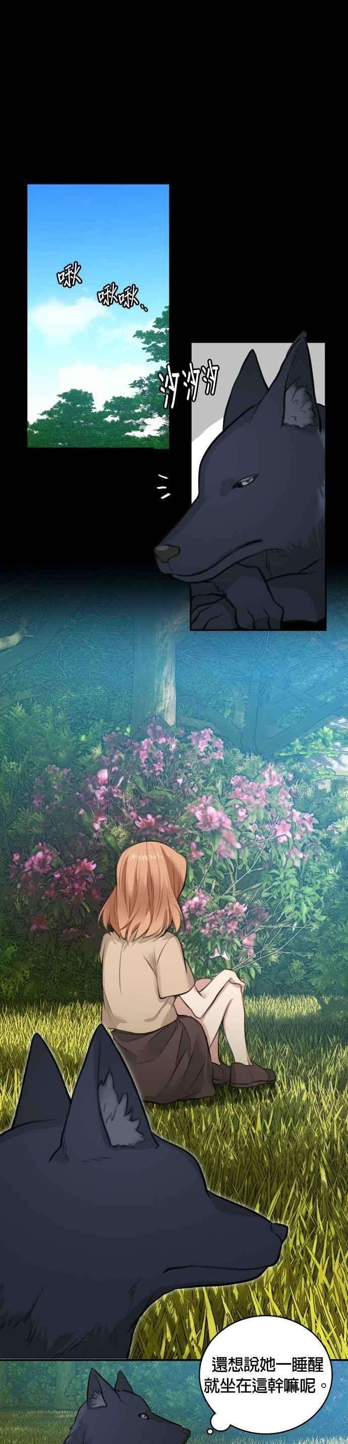 26.jpg