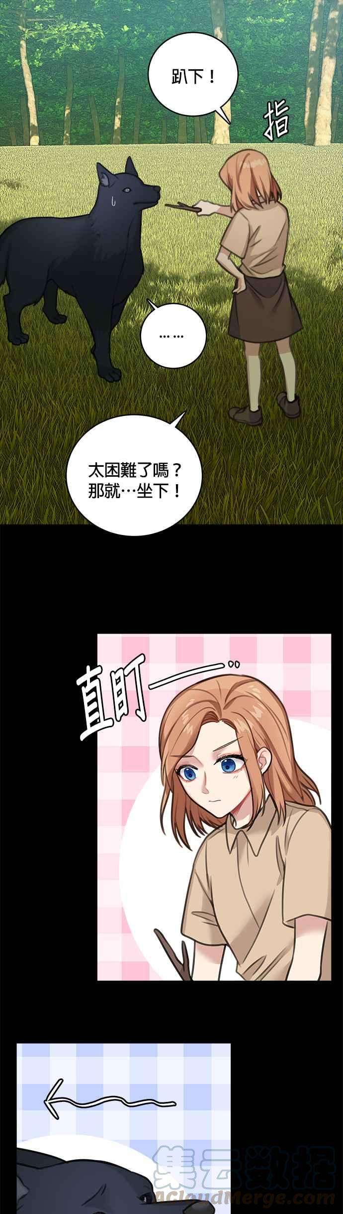 15.jpg