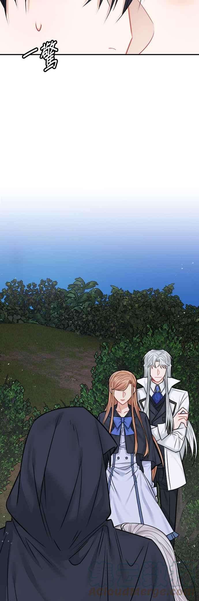 41.jpg