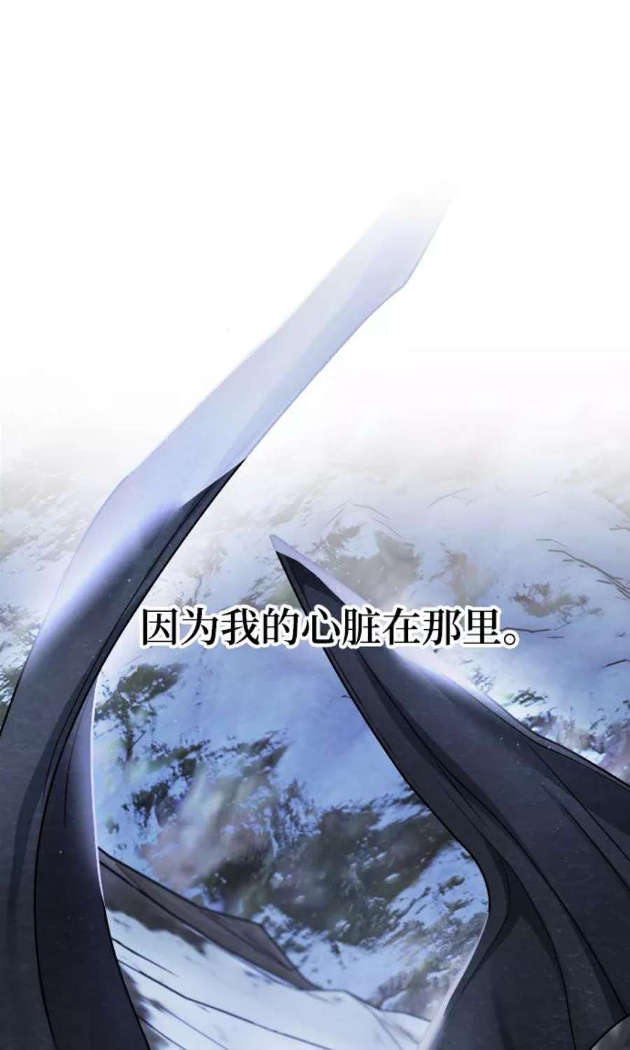 62.jpg
