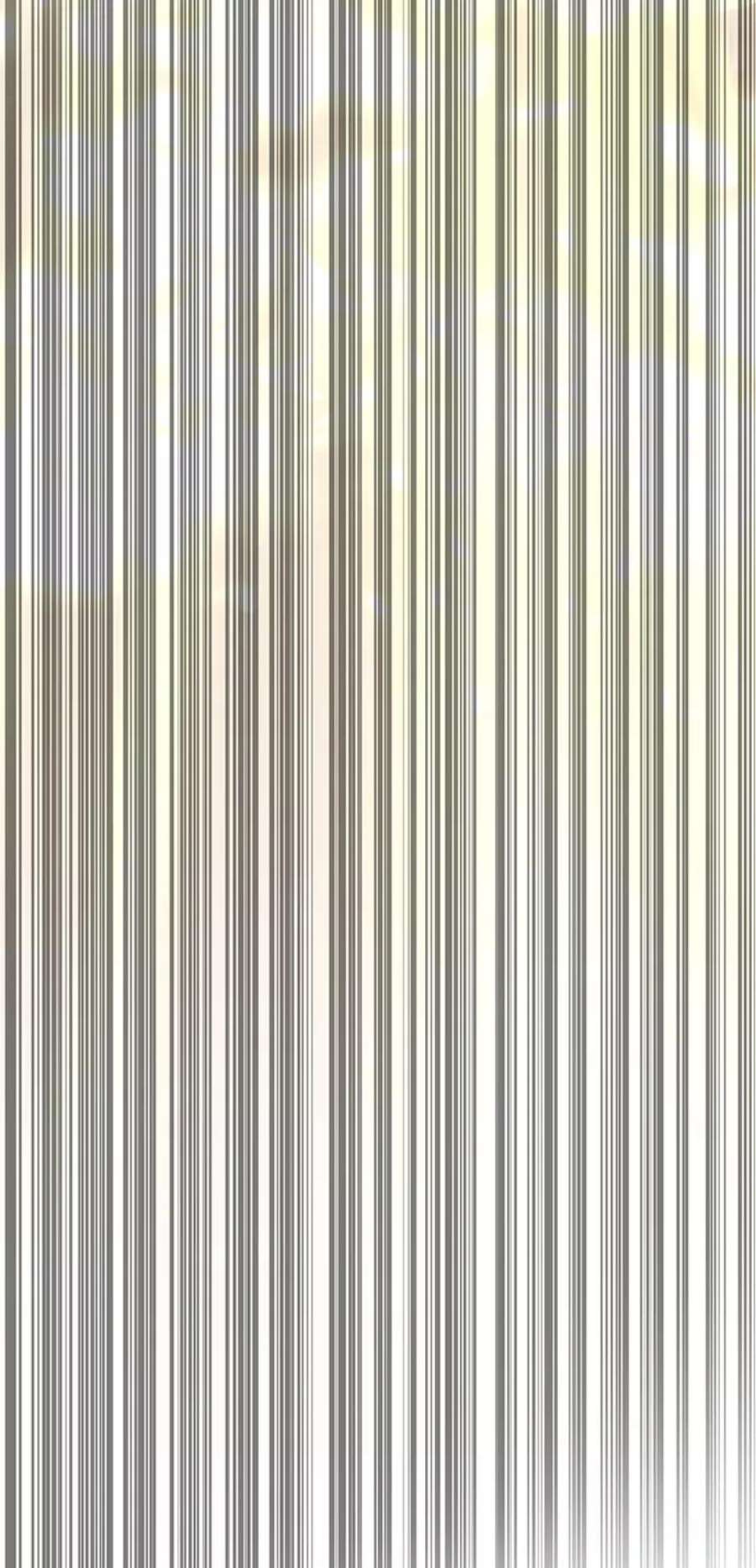 100.jpg