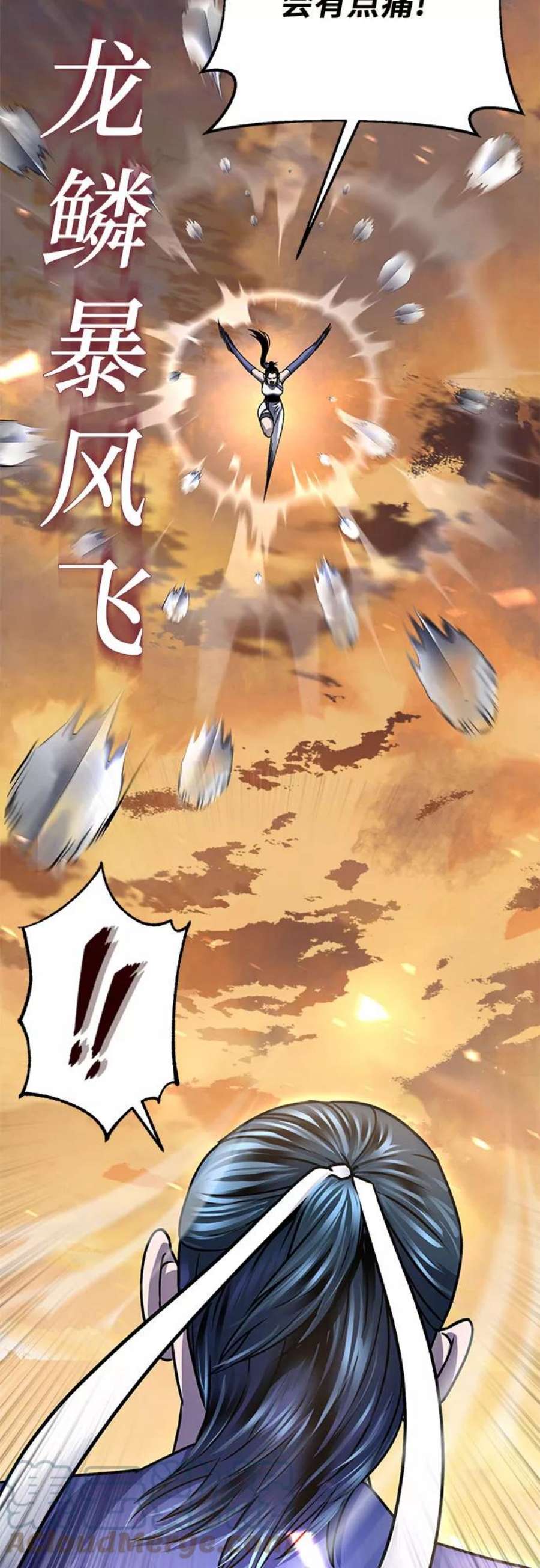 25.jpg