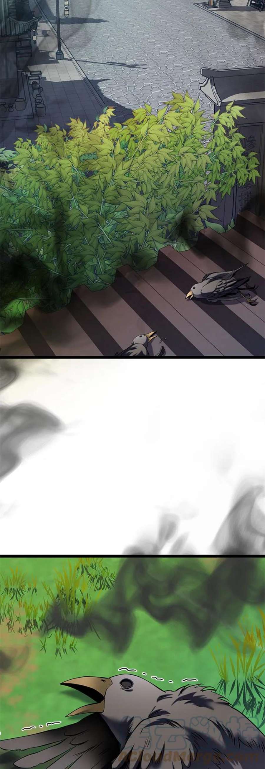 25.jpg