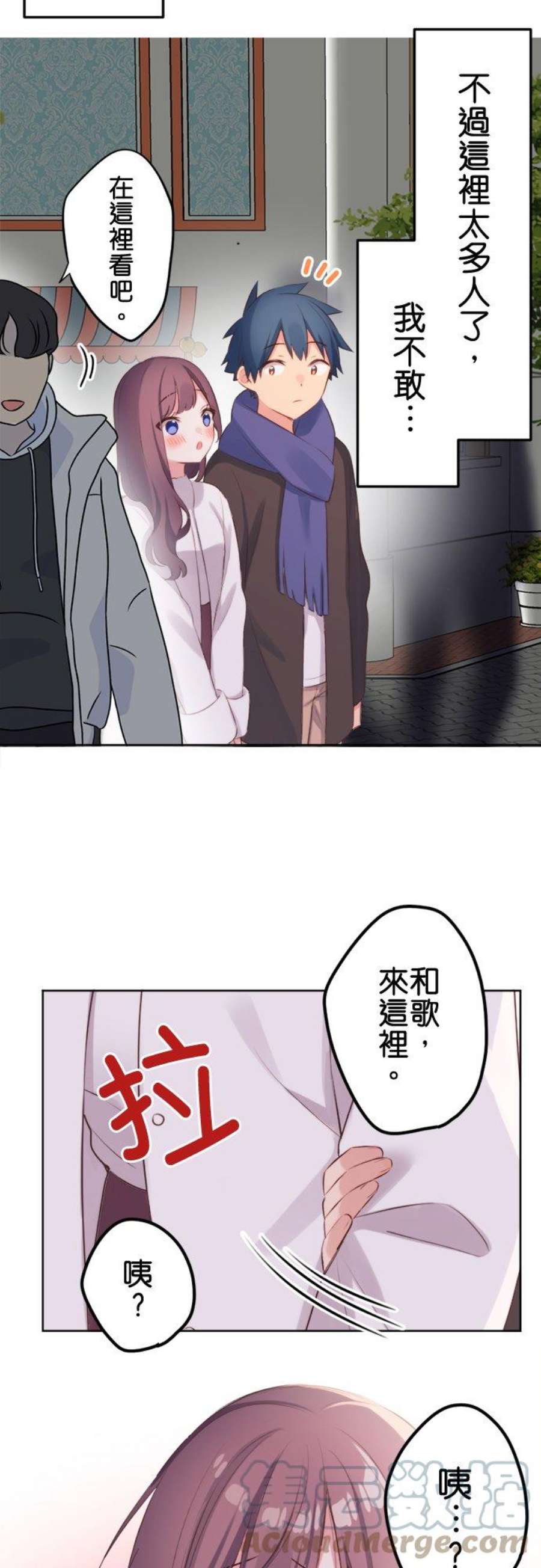 15.jpg