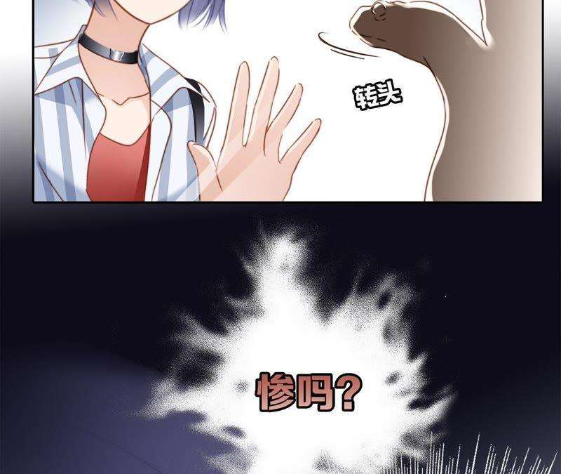 47.jpg