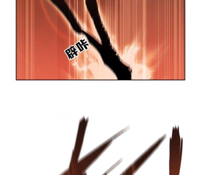 58.jpg