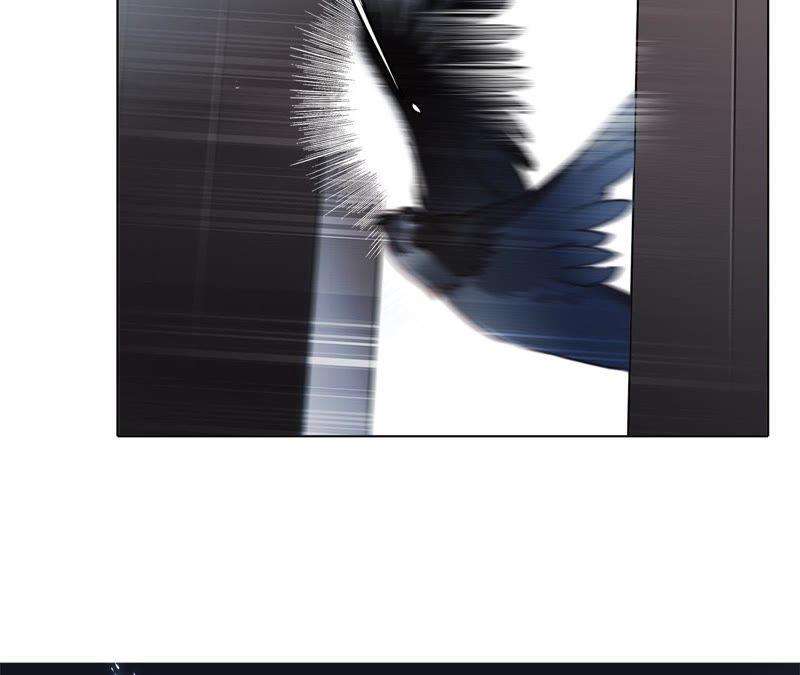 69.jpg