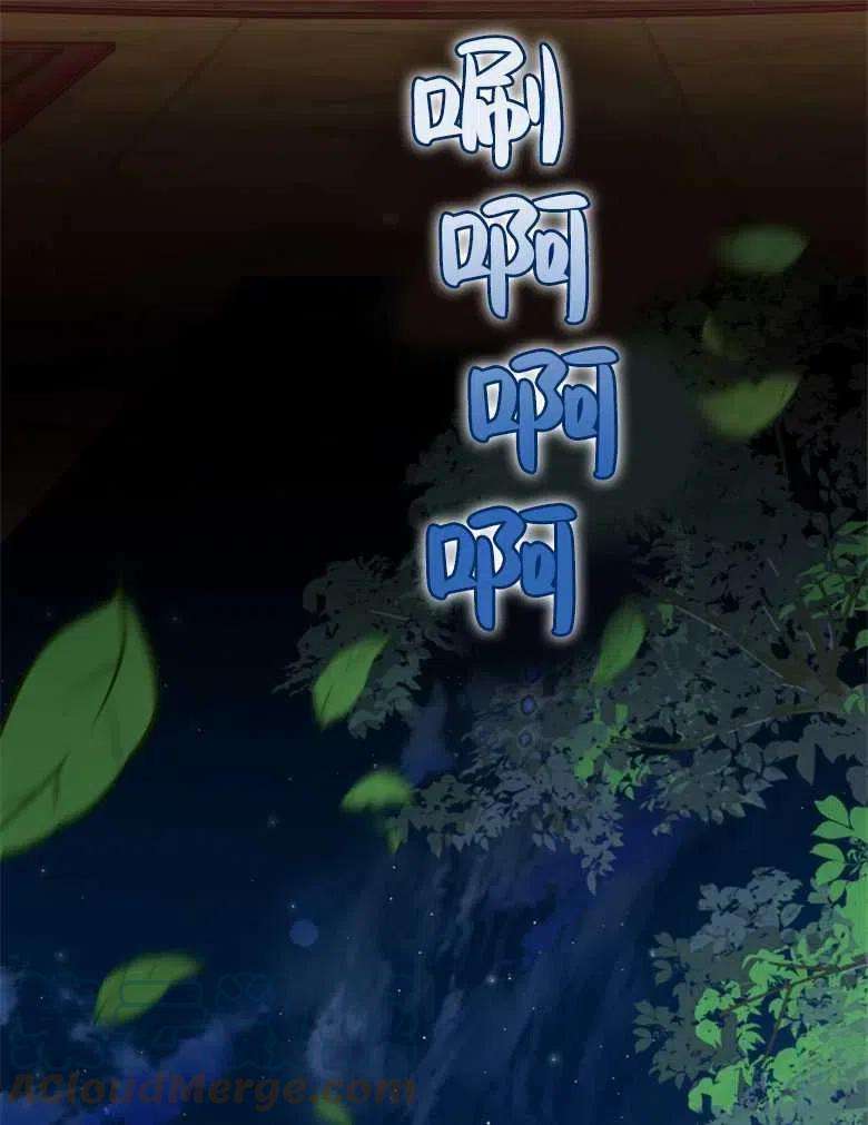 101.jpg