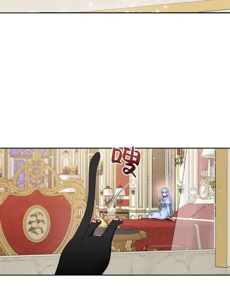 96.jpg