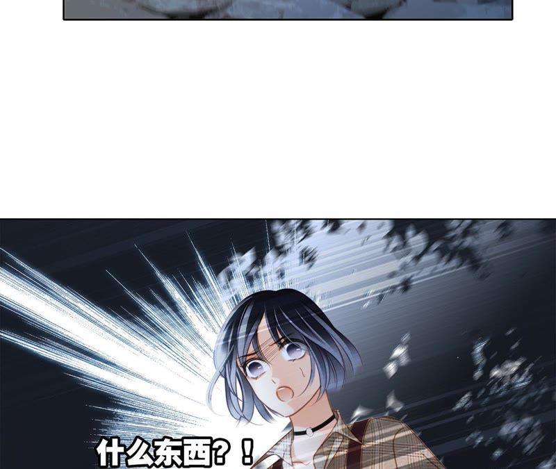 67.jpg