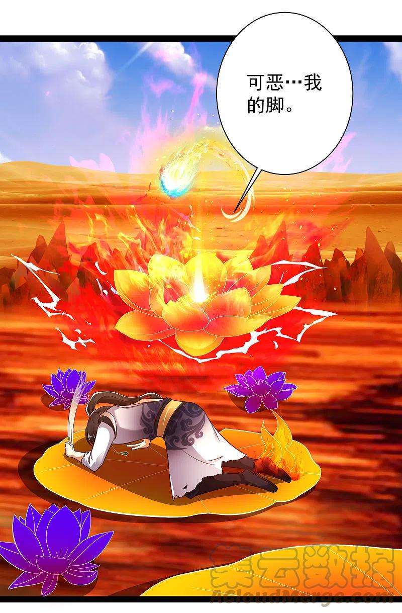 25.jpg