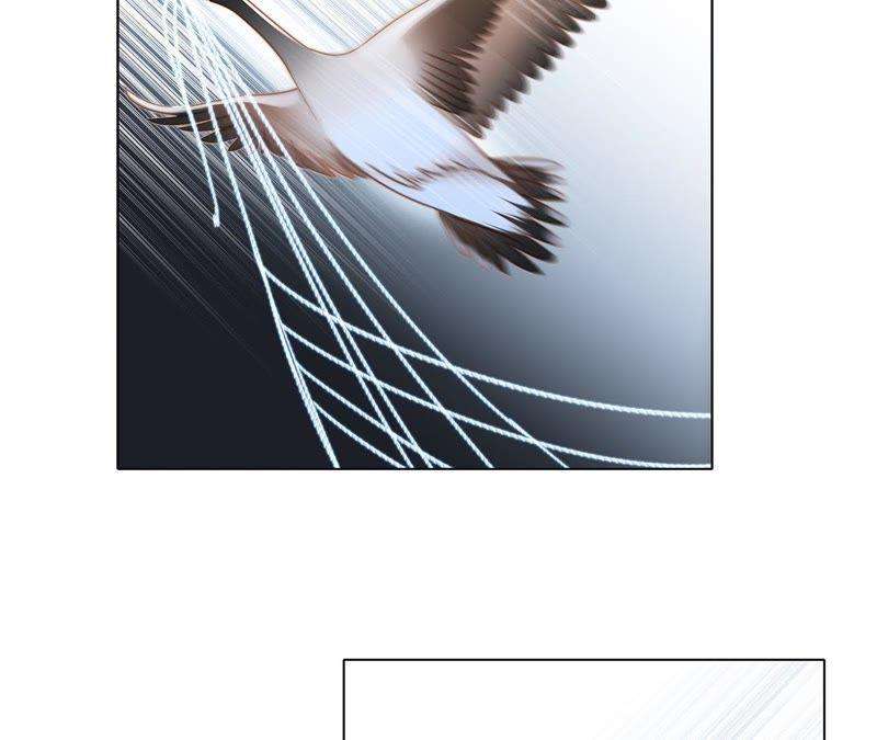64.jpg