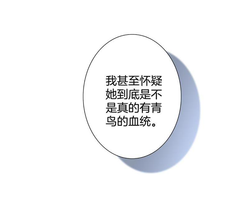 78.jpg