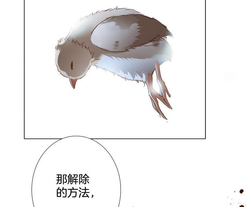 87.jpg