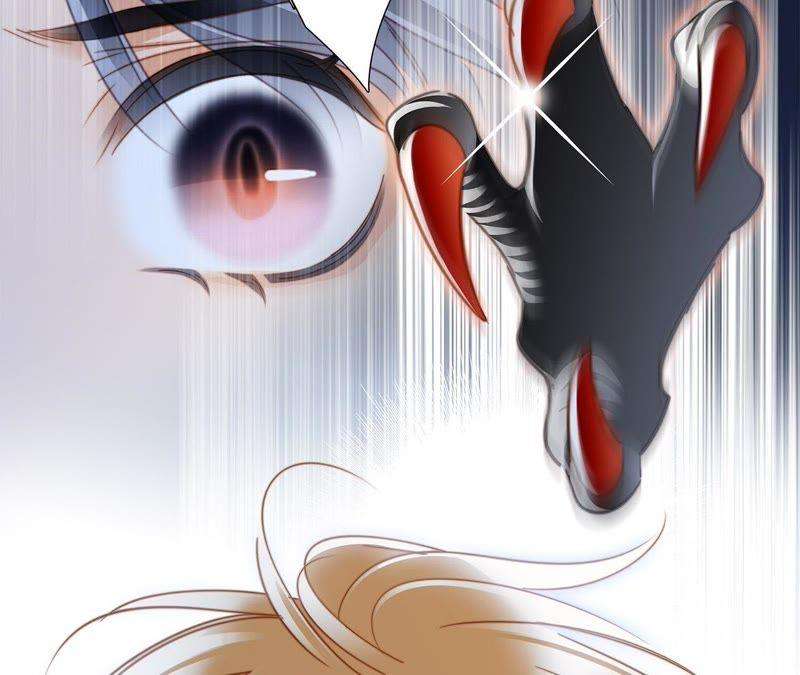 40.jpg
