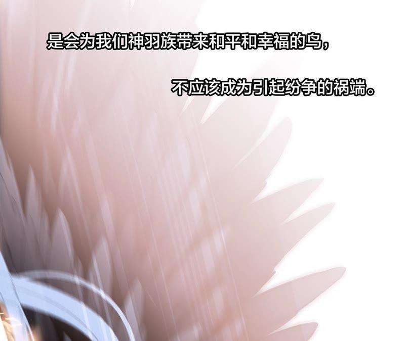 73.jpg