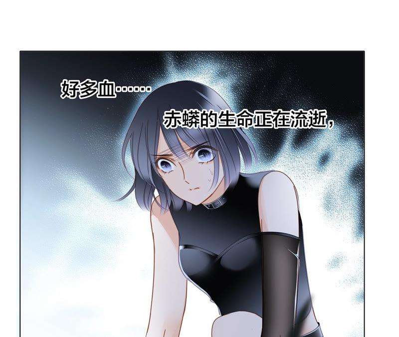 48.jpg