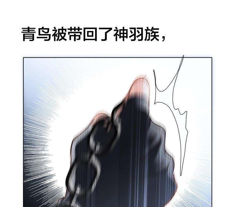 87.jpg