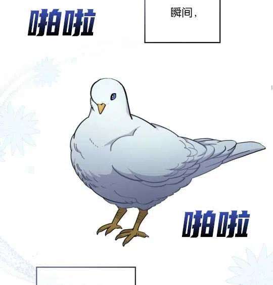 58.jpg
