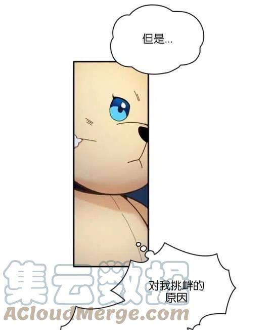 61.jpg