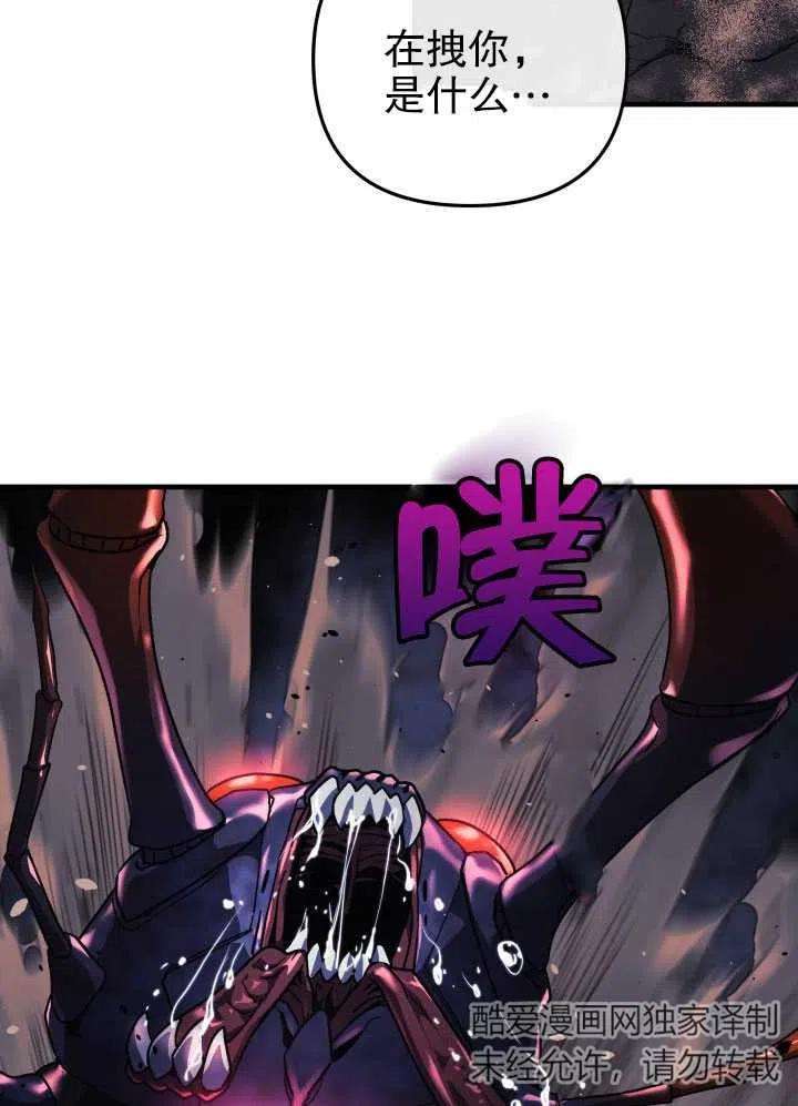 112.jpg