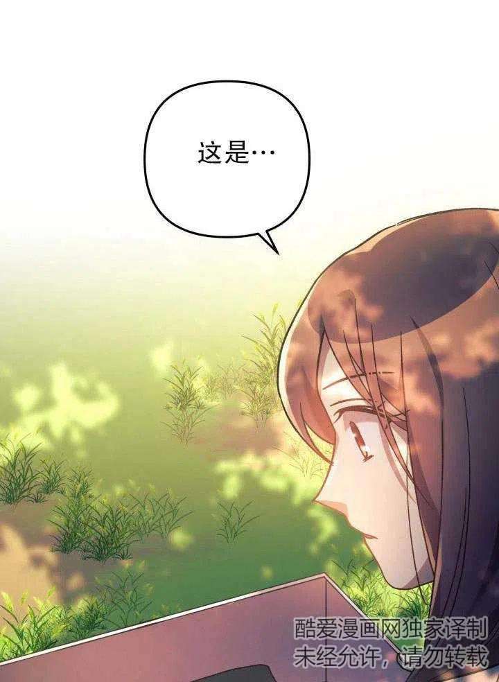 72.jpg