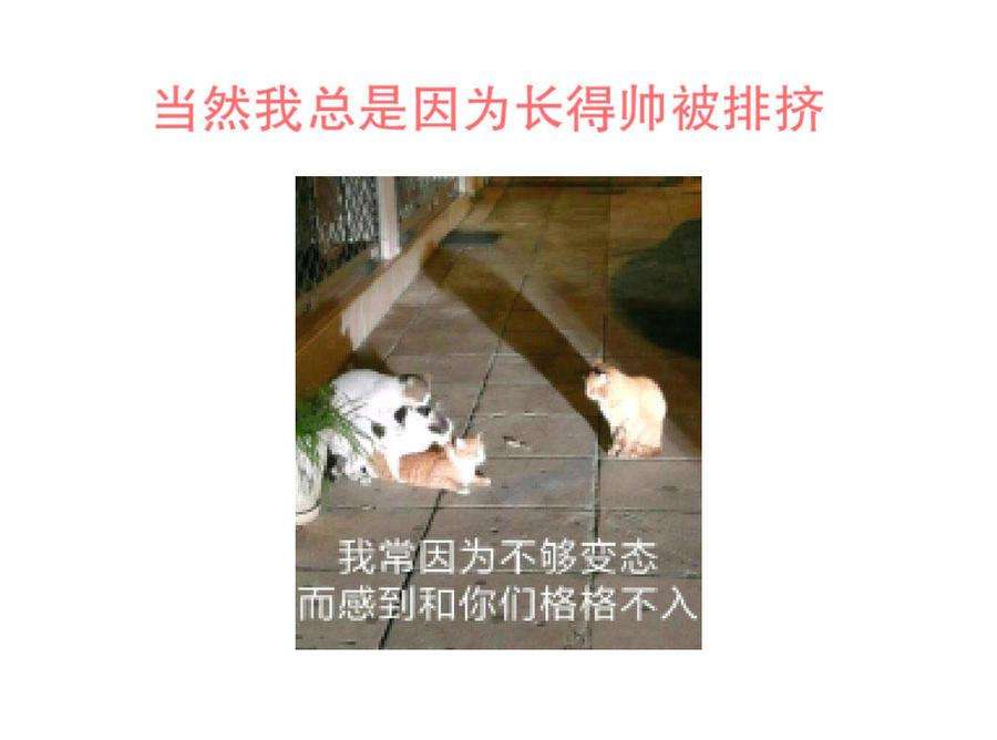 39.jpg