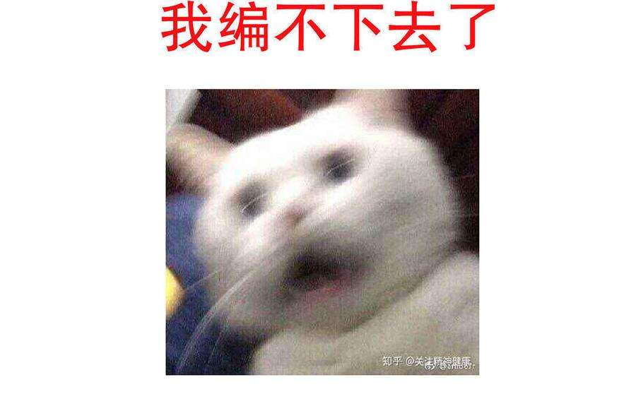 47.jpg