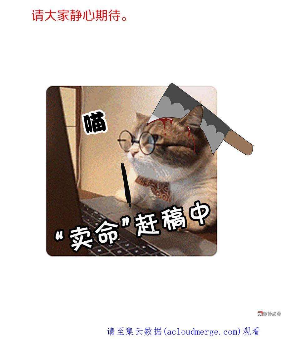 40.jpg