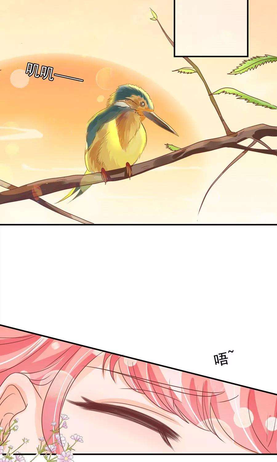 27.jpg