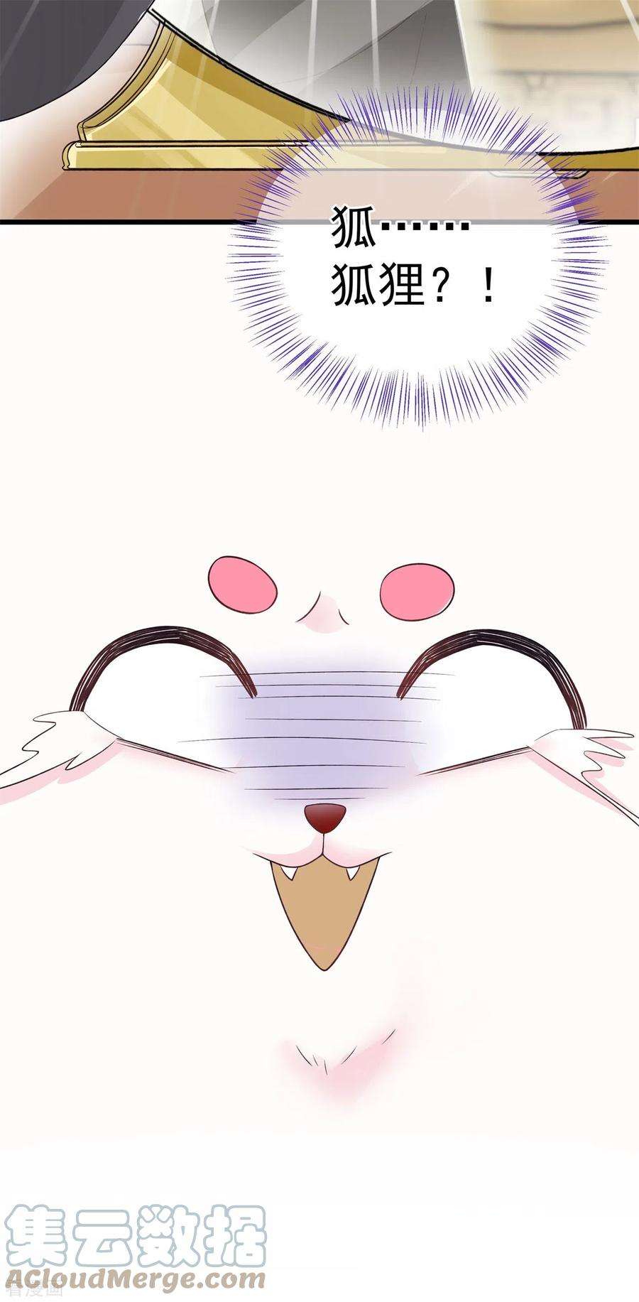 35.jpg