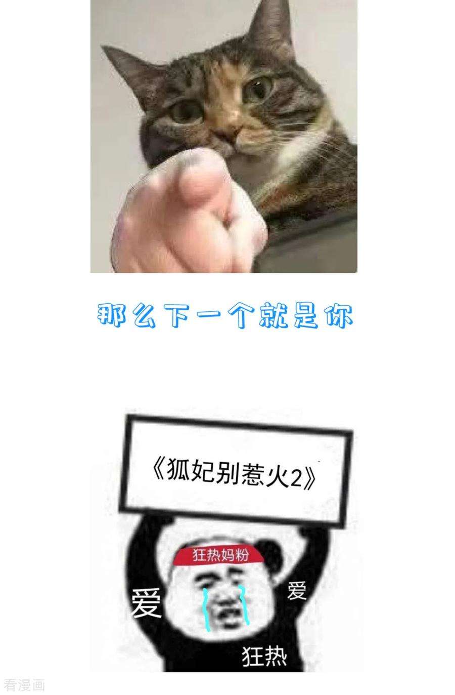 51.jpg